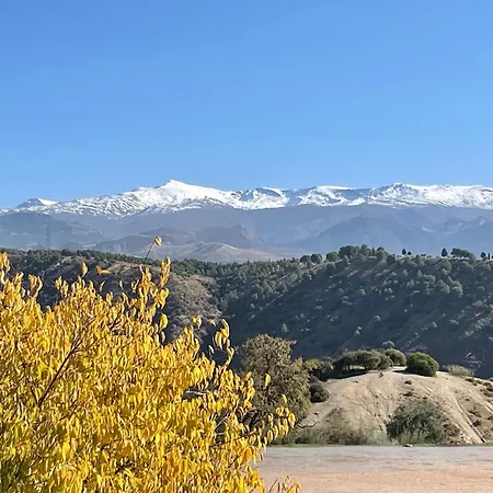 San Miguel 3*